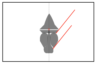 Reduction study: a flat grey silhouette of the mandrill's face reduced to its essential V-shaped structure, with red angle guides marking the construction lines