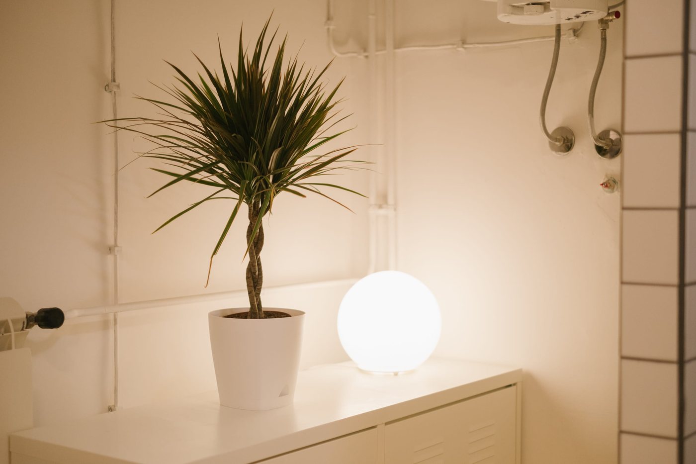 A glowing globe lamp beside a potted plant on a white cabinet