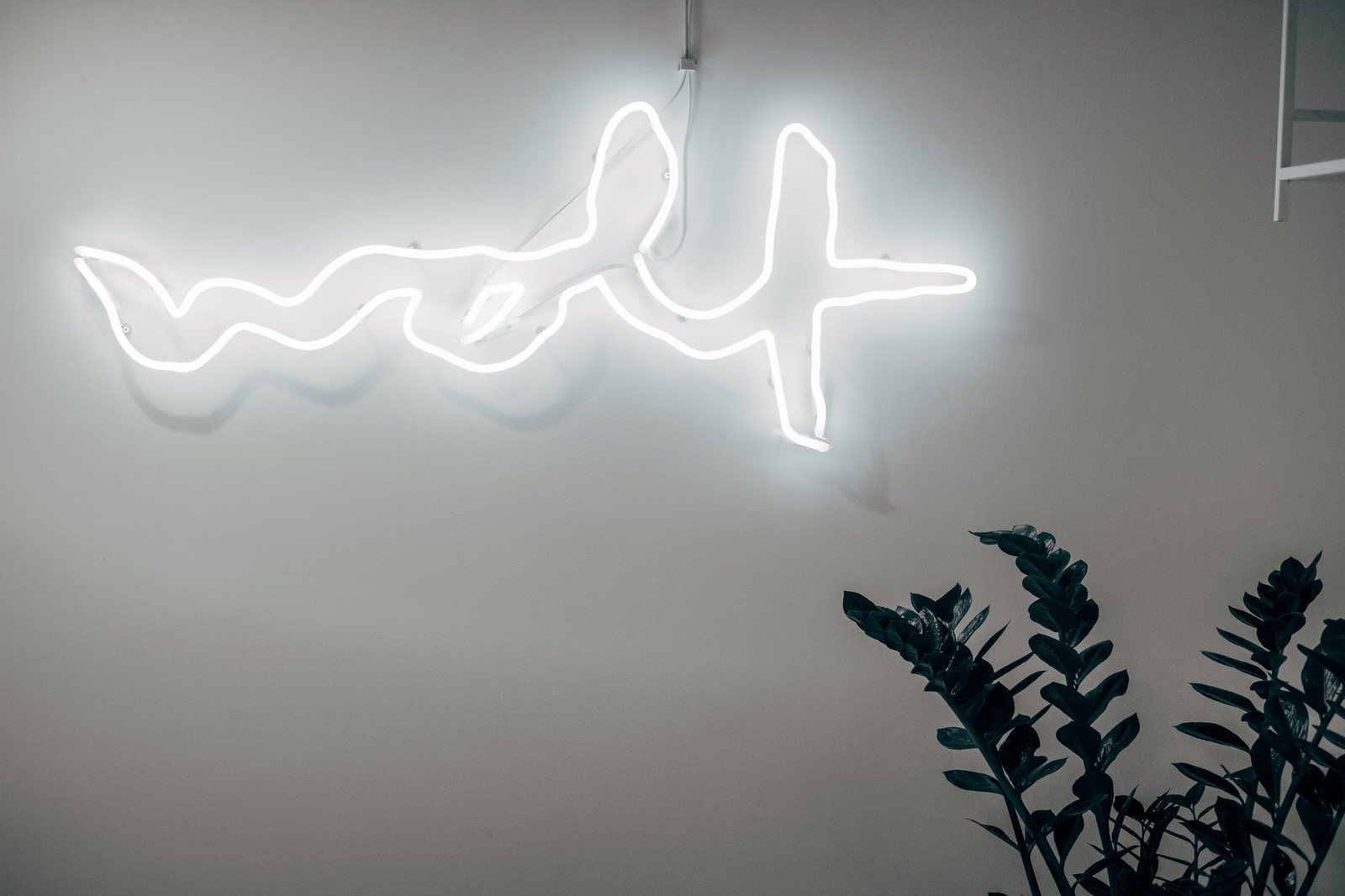 The wolf neon sign glowing white on the studio wall, a plant silhouetted beneath it